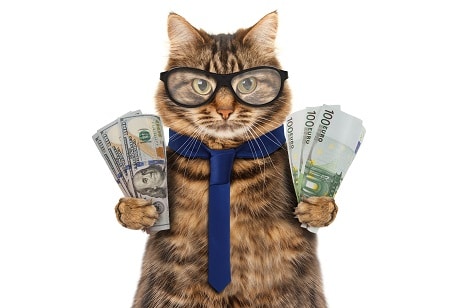 cats working for money