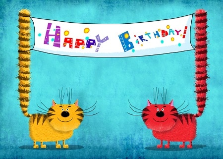 Cat birthday year